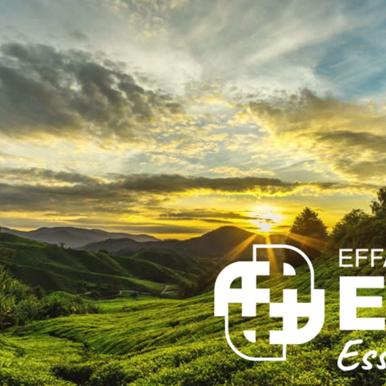 Launch ESG Essentials pic